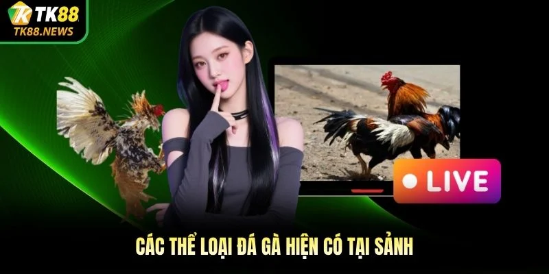 Các thể loại đá gà hiện có tại sảnh