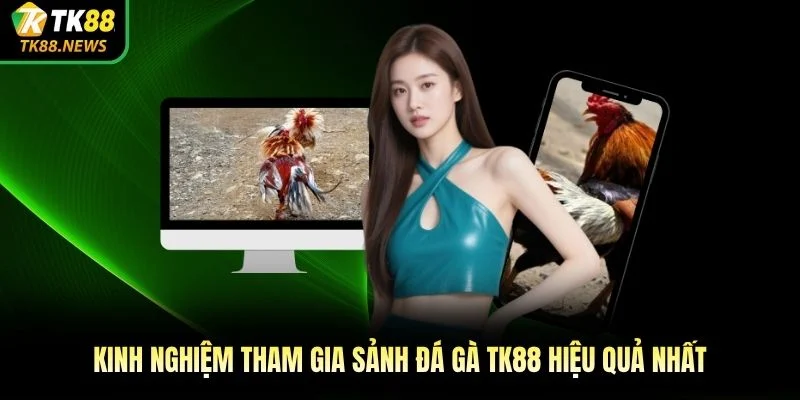 Kinh nghiệm tham gia sảnh đá gà TK88 hiệu quả nhất